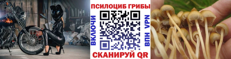 мега маркетплейс  Вельск  Галлюциногенные грибы мицелий 